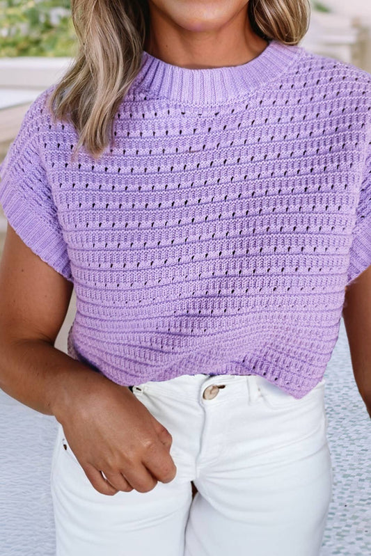 Pointelle knit Ribbed Trim Short Sleeve Sweater